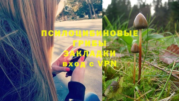 spice Алексин