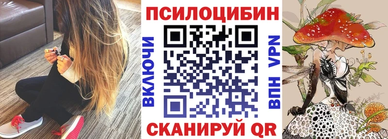 shop состав  Феодосия  Галлюциногенные грибы MAGIC MUSHROOMS 