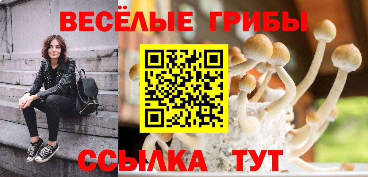 Псилоцибиновые грибы GOLDEN TEACHER  Вход с VPN  Феодосия 